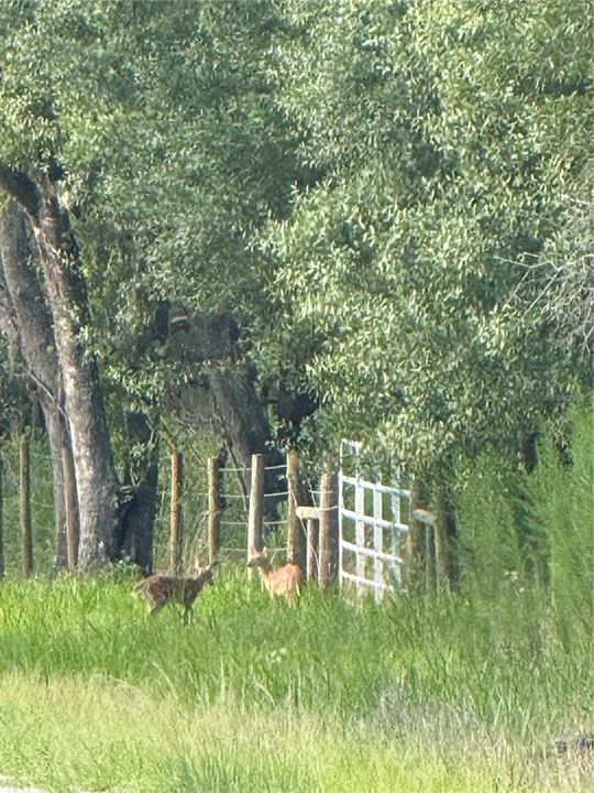 На продажу: $299,000 (4.69 acres)