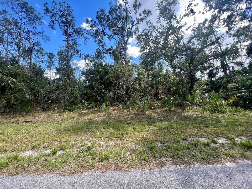 For Sale: $25,000 (0.23 acres)