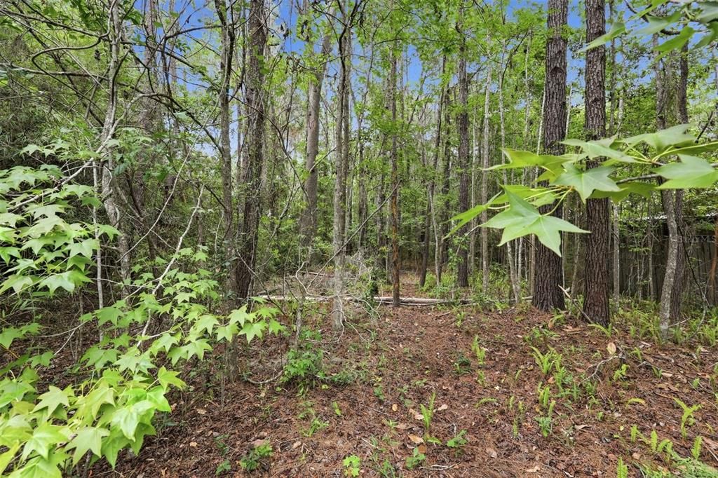 For Sale: $165,000 (0.52 acres)