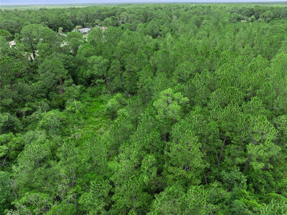 На продажу: $75,000 (0.53 acres)