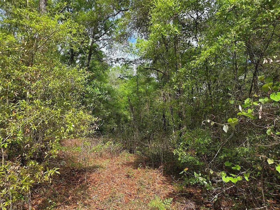 For Sale: $3,900 (0.18 acres)