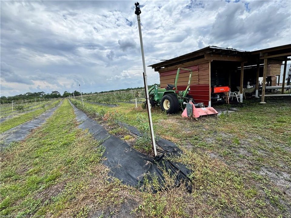 For Sale: $270,000 (10.01 acres)
