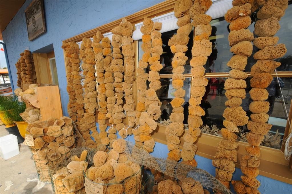 На продажу: $425,000 (3 спален, 2 ванн, 1616 Квадратных фут)