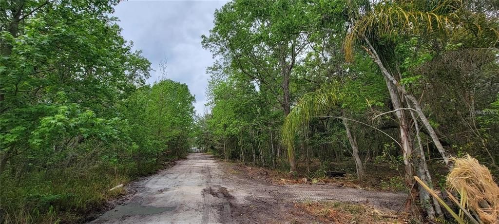 На продажу: $370,000 (2.01 acres)