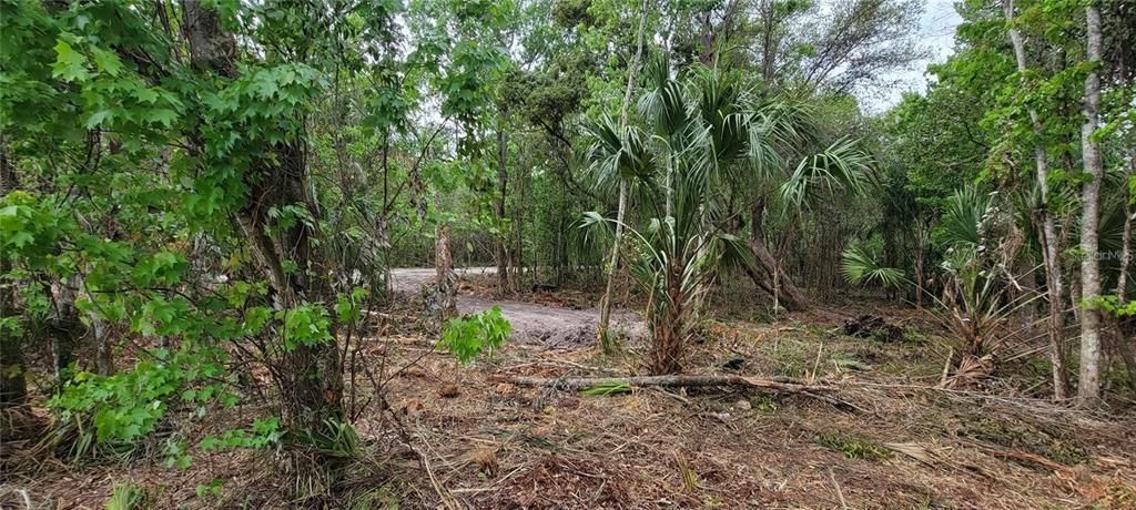 На продажу: $370,000 (2.01 acres)