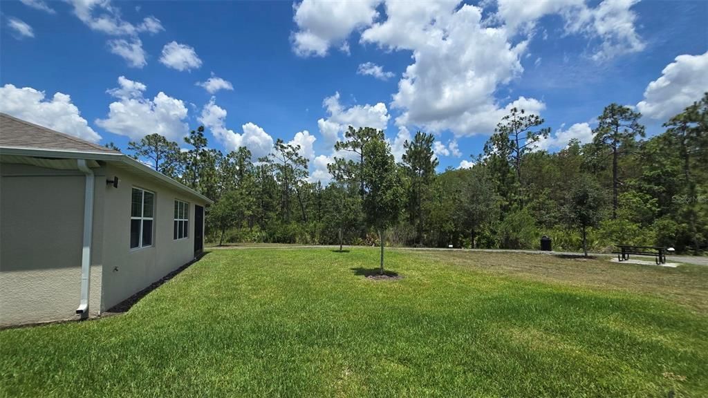 For Rent: $3,000 (4 beds, 2 baths, 1828 Square Feet)