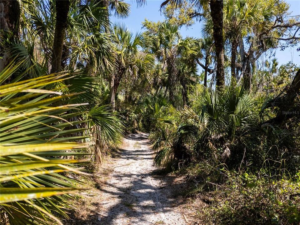 На продажу: $349,000 (7.15 acres)