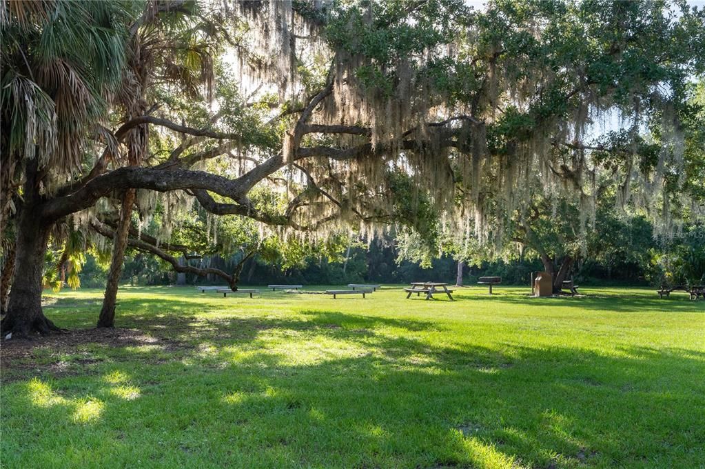 На продажу: $349,000 (7.15 acres)