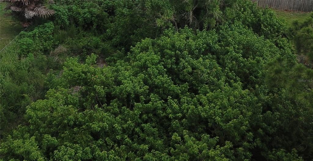 合同活跃: $145,000 (0.23 acres)