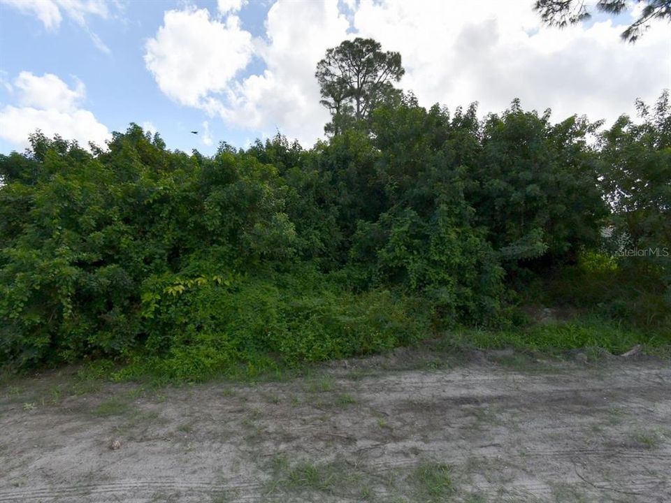 合同活跃: $145,000 (0.23 acres)