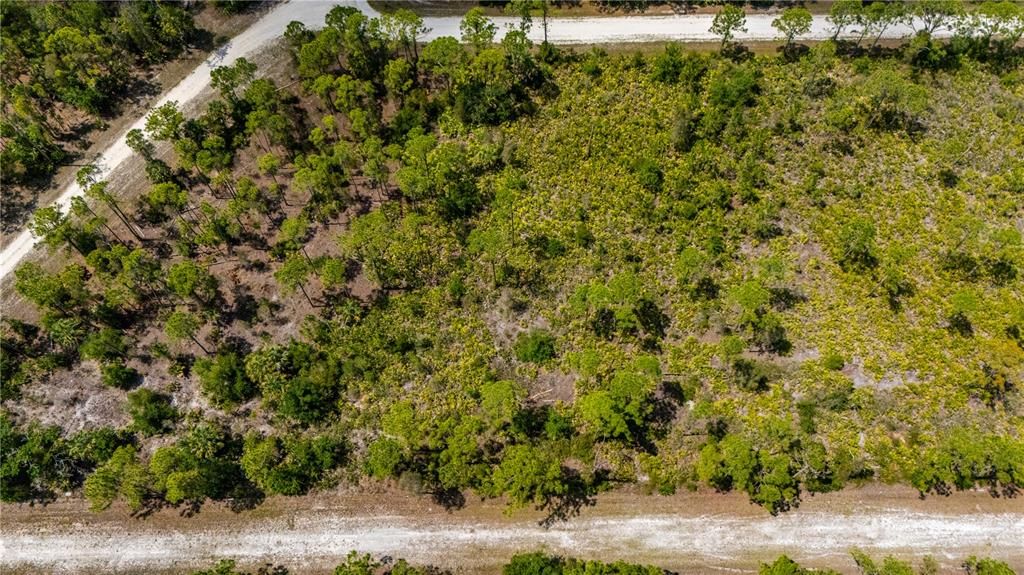 For Sale: $17,698 (0.22 acres)