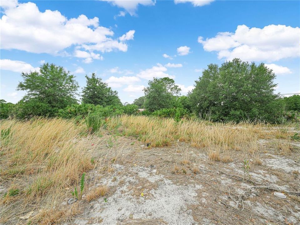 For Sale: $34,995 (1.00 acres)