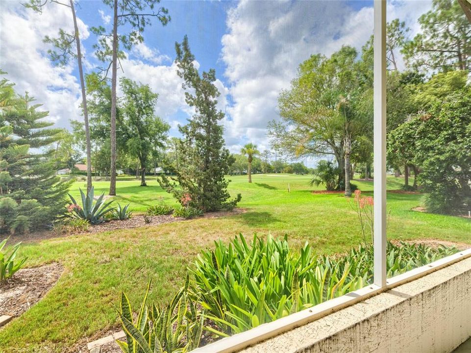 For Sale: $300,000 (3 beds, 2 baths, 1909 Square Feet)