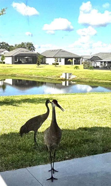 For Rent: $2,950 (3 beds, 2 baths, 1770 Square Feet)