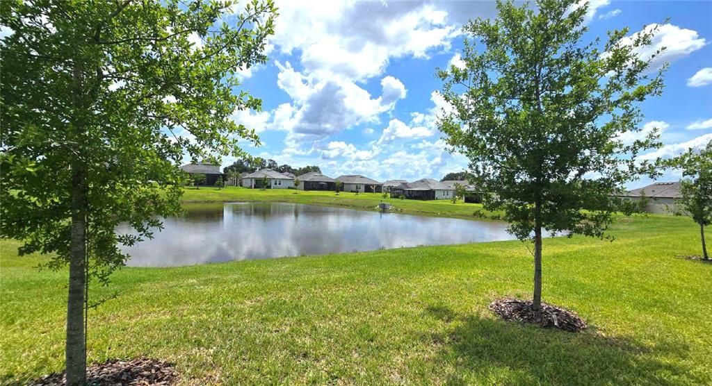 For Rent: $2,950 (3 beds, 2 baths, 1770 Square Feet)