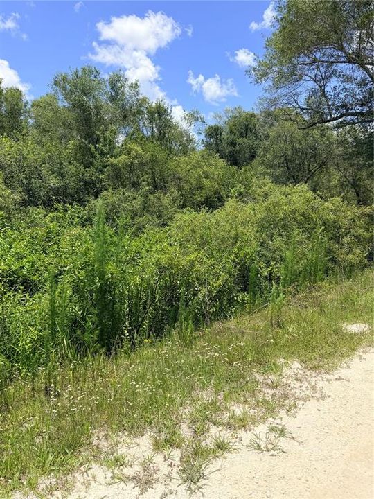 For Sale: $26,200 (0.82 acres)