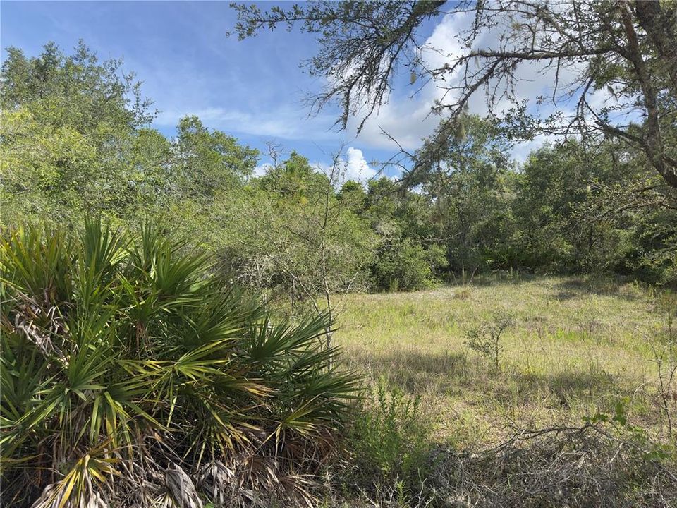 待售: $40,000 (1.25 acres)