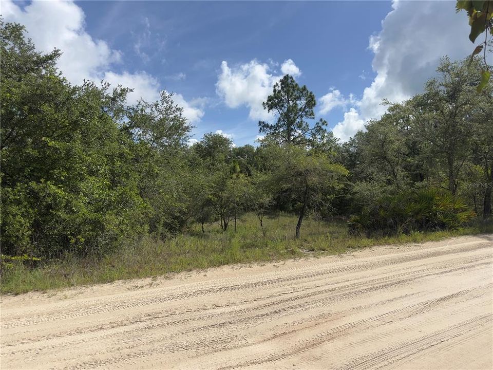待售: $40,000 (1.25 acres)