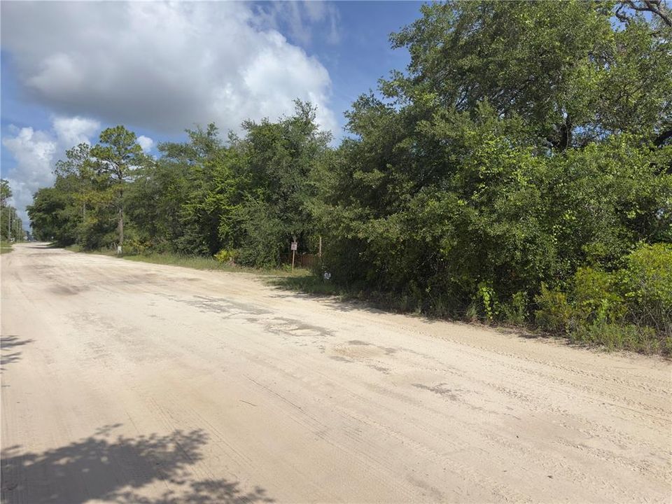 待售: $40,000 (1.25 acres)