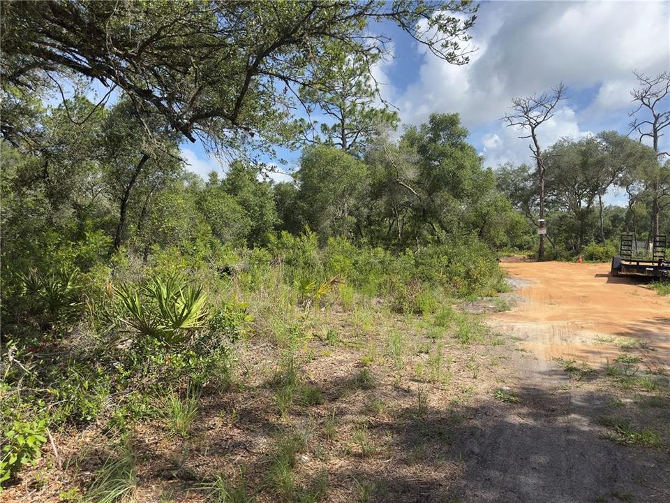 待售: $40,000 (1.25 acres)