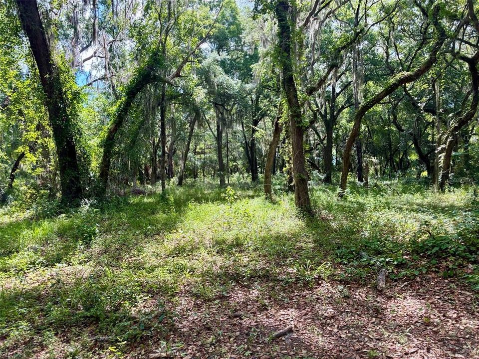 For Sale: $369,900 (18.00 acres)