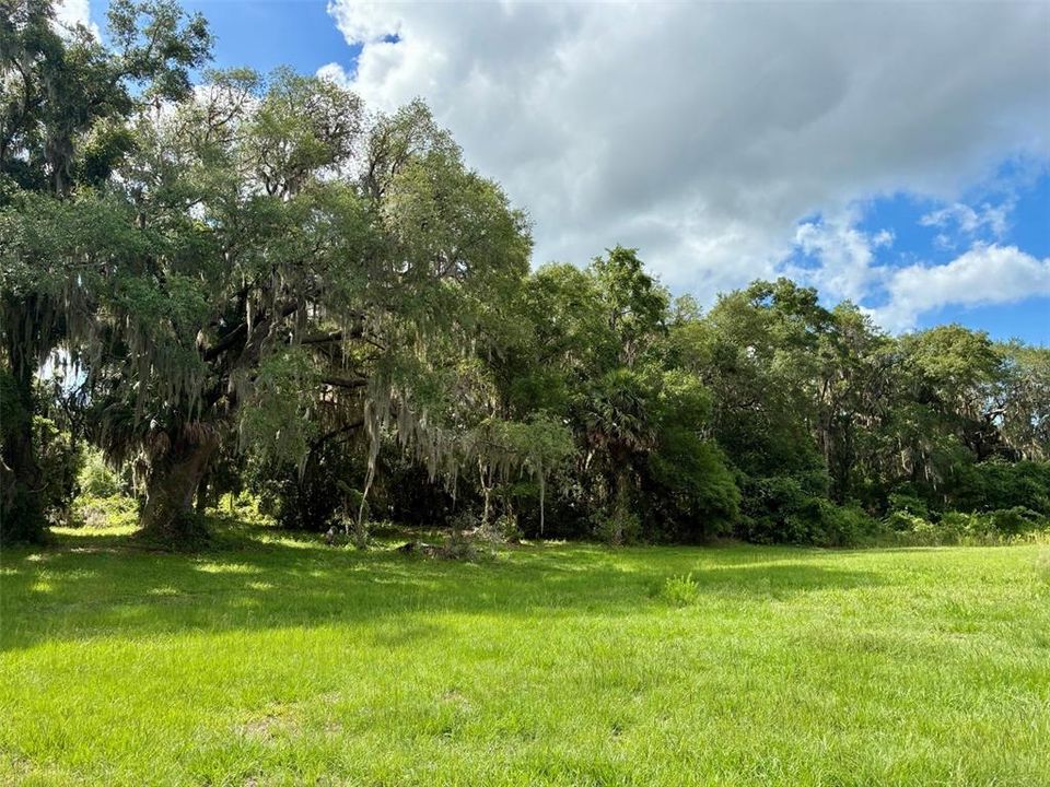 For Sale: $369,900 (18.00 acres)