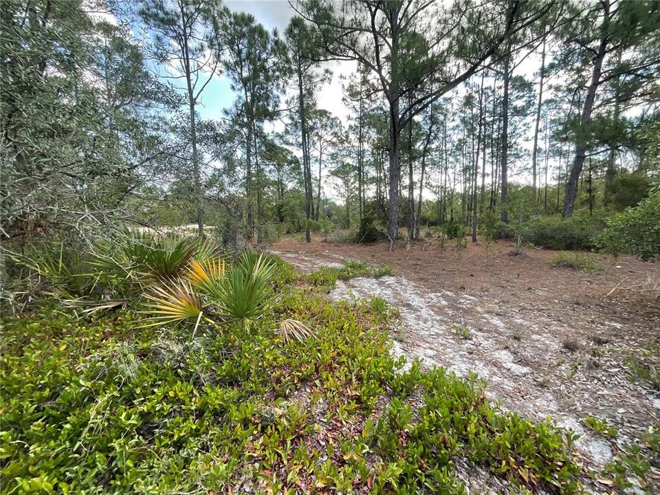 For Sale: $49,500 (0.48 acres)