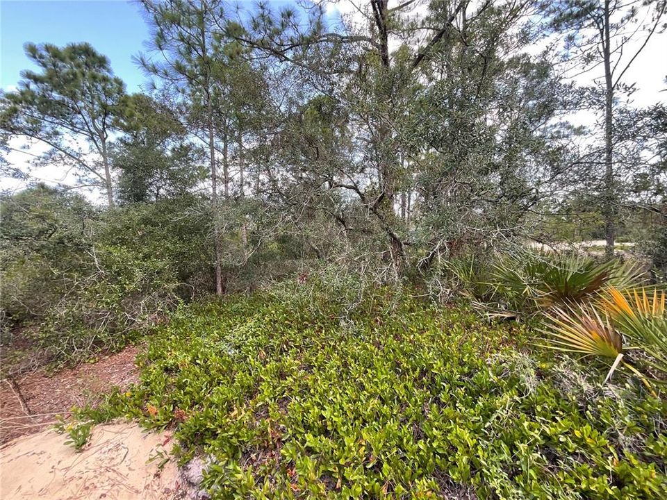 For Sale: $49,500 (0.48 acres)