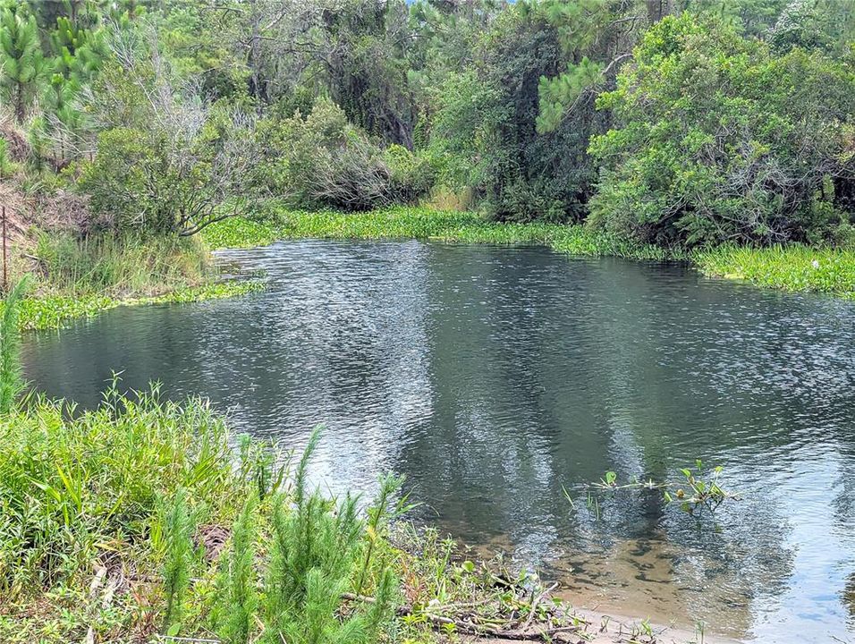 На продажу: $69,900 (2.48 acres)