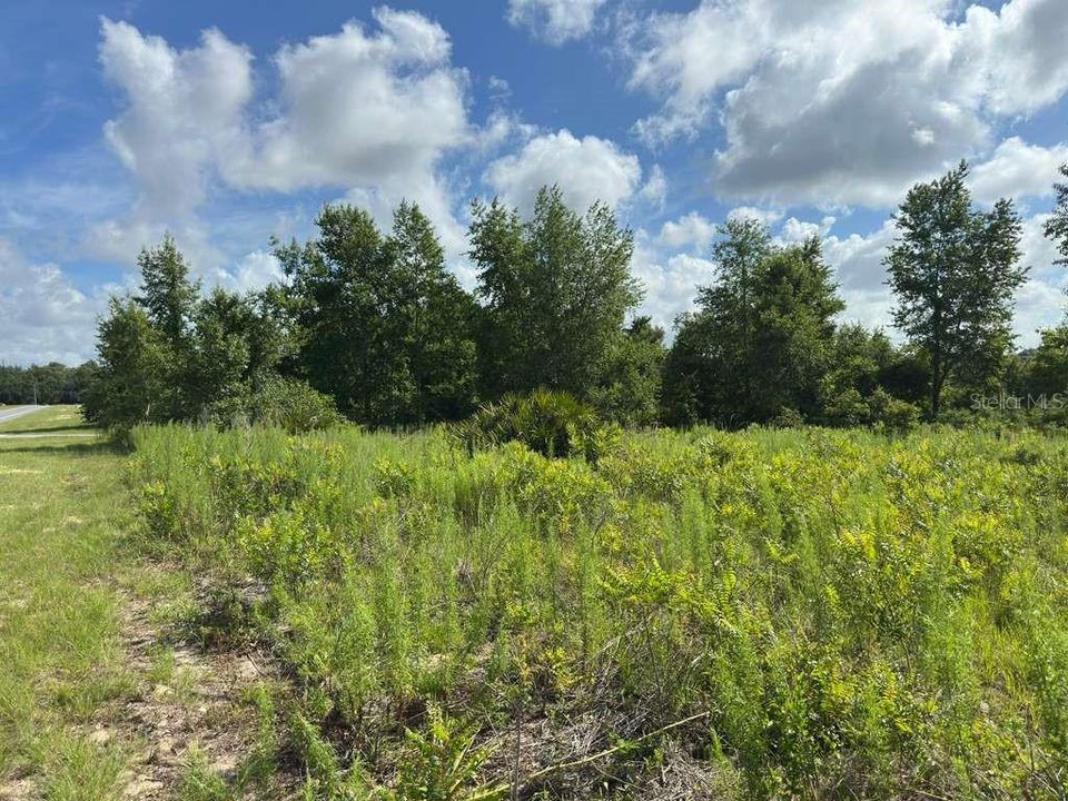 На продажу: $70,000 (1.55 acres)