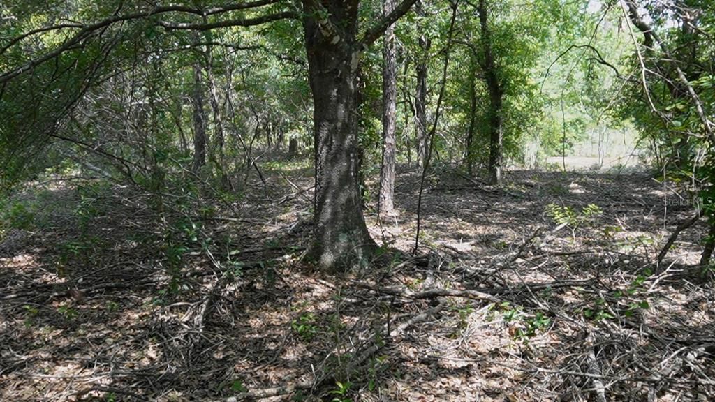 For Sale: $125,000 (5.00 acres)