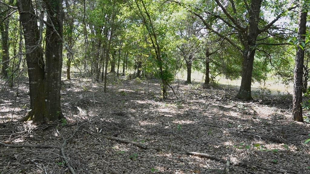 For Sale: $125,000 (5.00 acres)