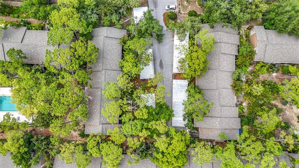 For Sale: $219,800 (1 beds, 1 baths, 731 Square Feet)