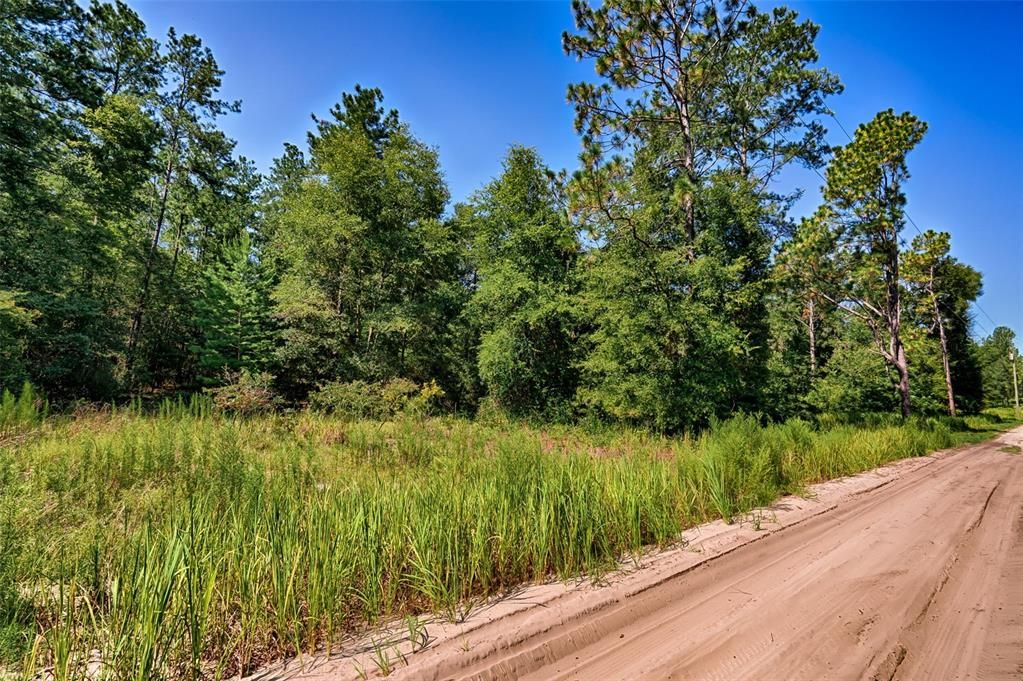 For Sale: $23,125 (1.25 acres)