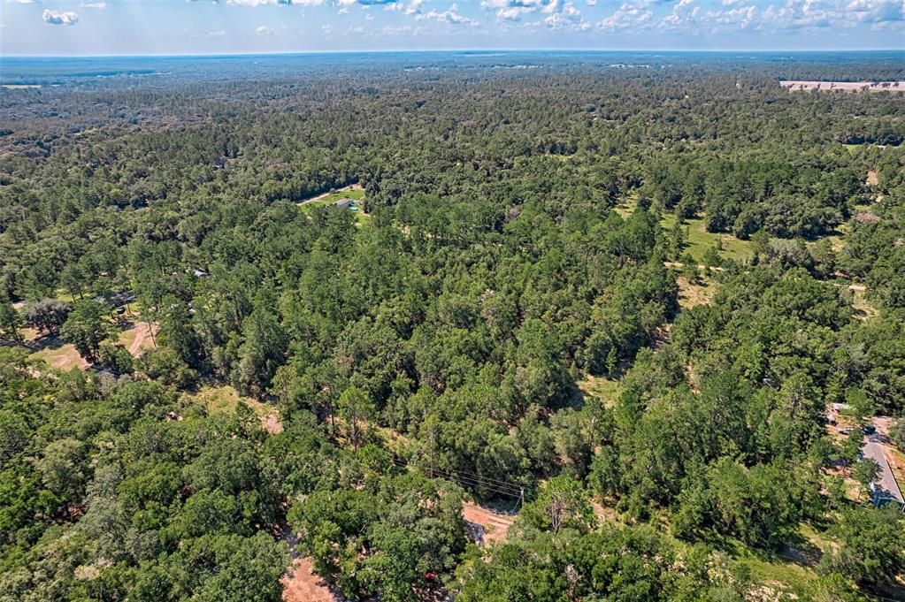 For Sale: $23,125 (1.25 acres)