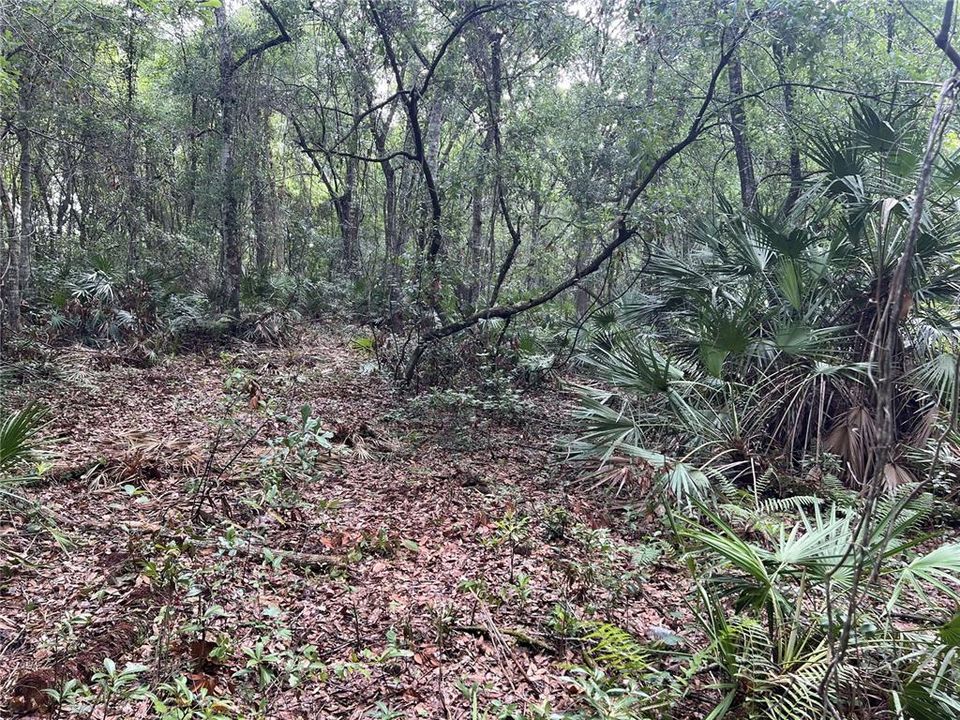На продажу: $690,000 (2.94 acres)