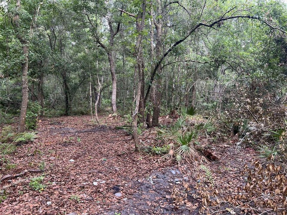 На продажу: $690,000 (2.94 acres)