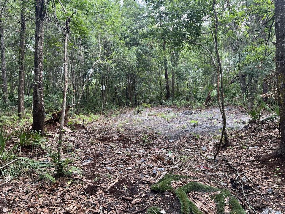 На продажу: $690,000 (2.94 acres)