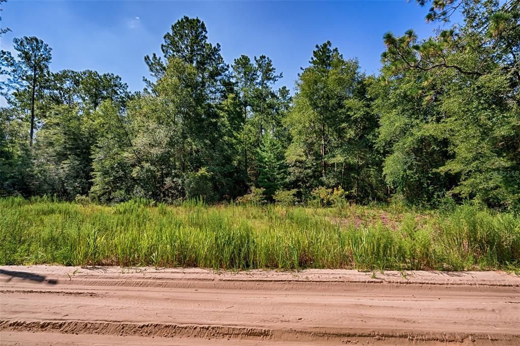 For Sale: $23,125 (1.25 acres)