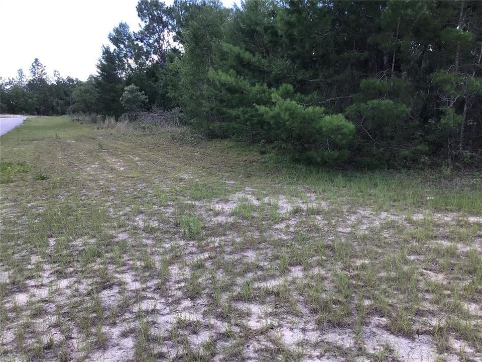 For Sale: $49,900 (0.40 acres)