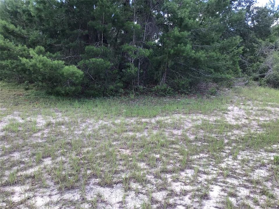 For Sale: $49,900 (0.40 acres)