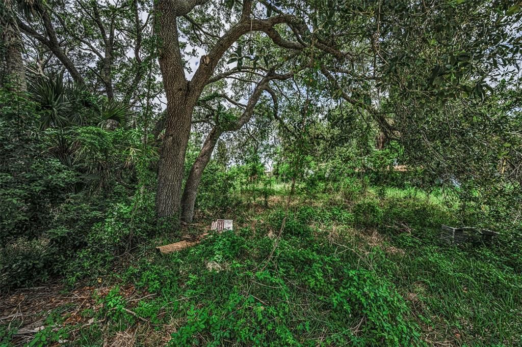 待售: $219,000 (0.12 acres)