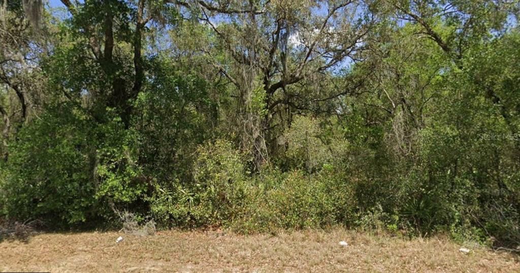 For Sale: $22,999 (0.68 acres)