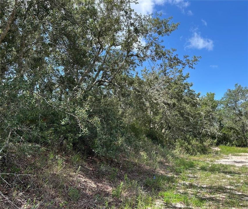 На продажу: $110,000 (0.78 acres)