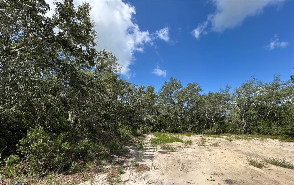 На продажу: $110,000 (0.78 acres)