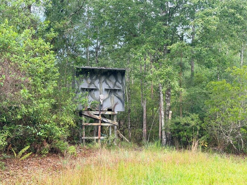 For Sale: $789,900 (65.45 acres)