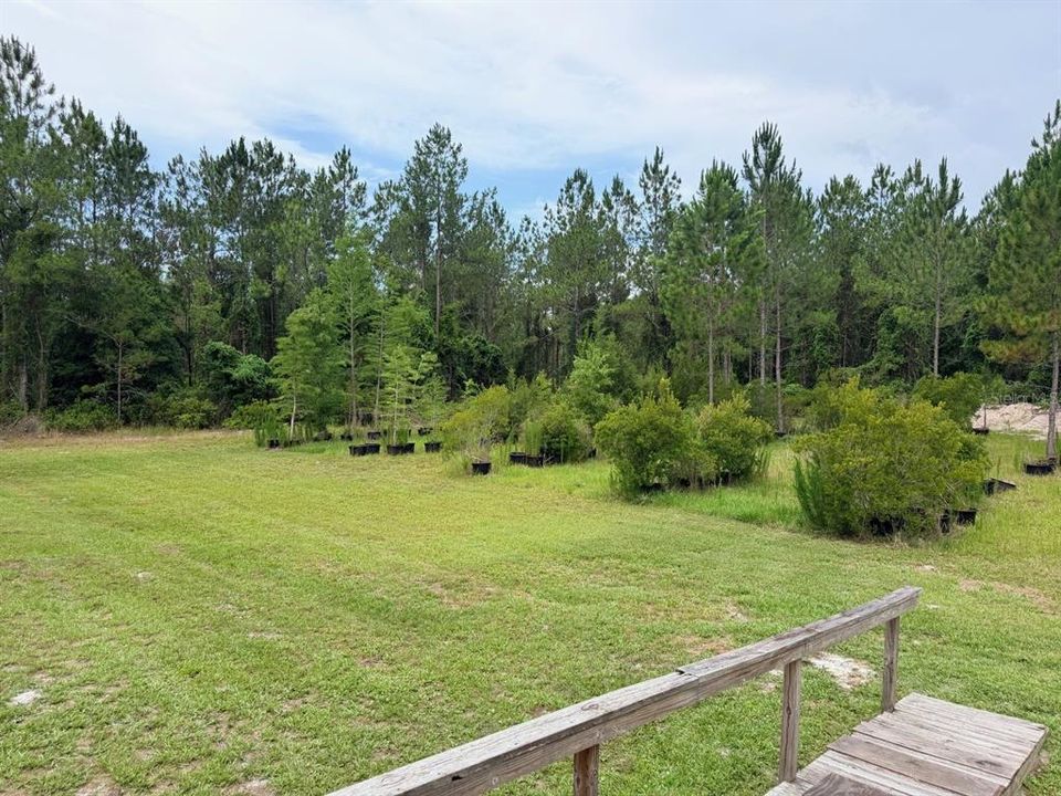 For Sale: $725,000 (65.45 acres)