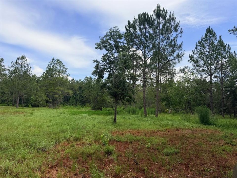For Sale: $789,900 (65.45 acres)