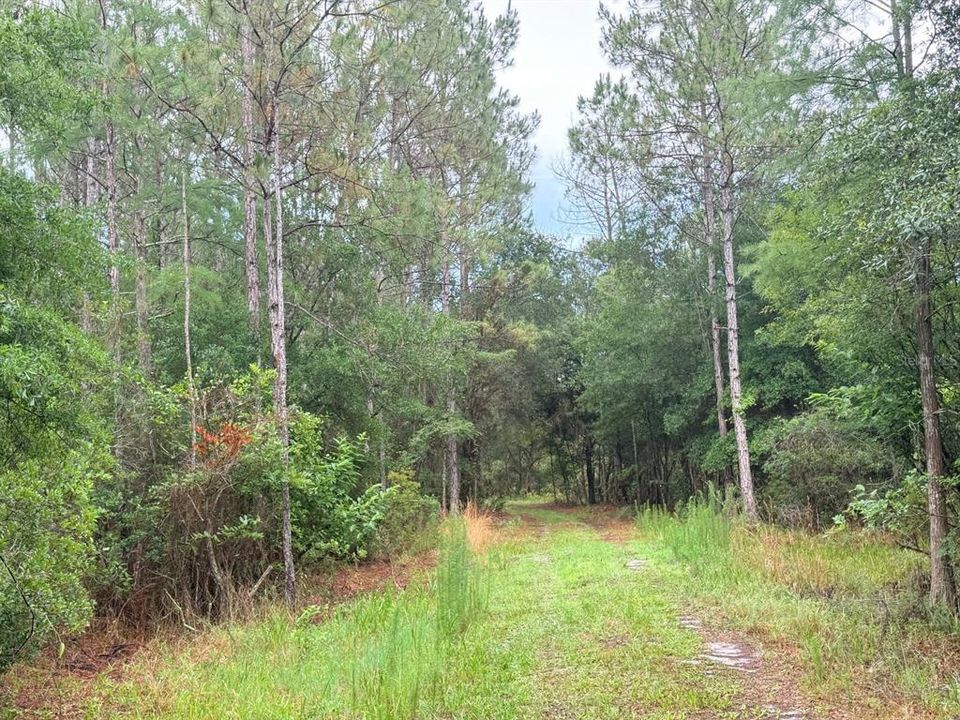 For Sale: $789,900 (65.45 acres)