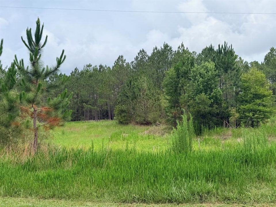 For Sale: $789,900 (65.45 acres)